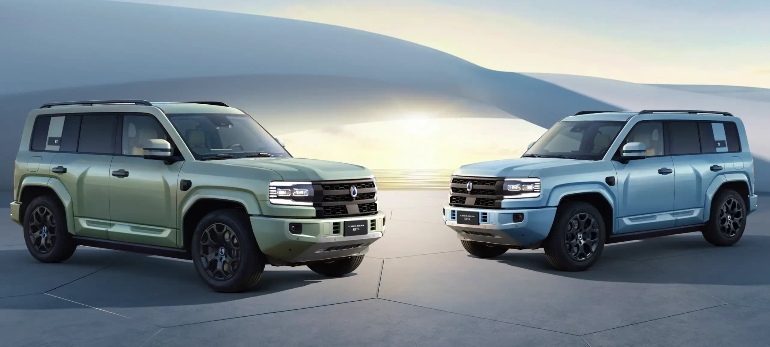 Denza Service And Parts