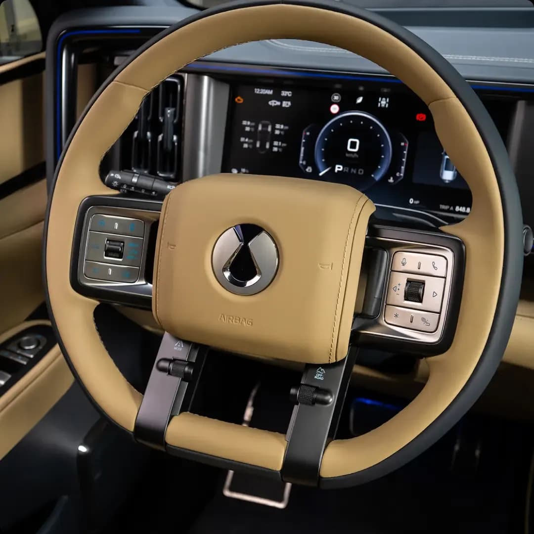 Denza Comprehensive Support