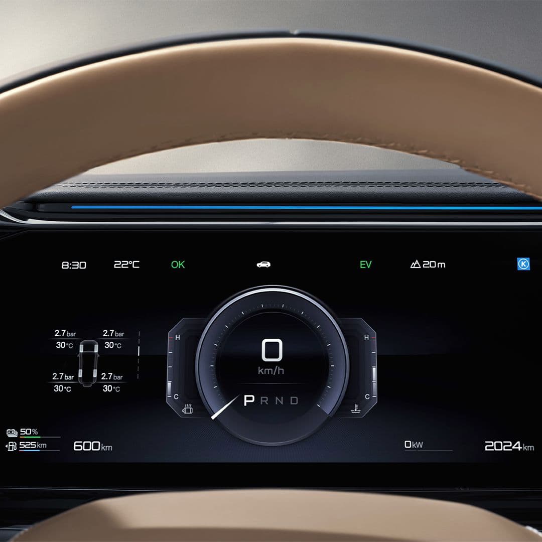 Denza Lower Maintenance