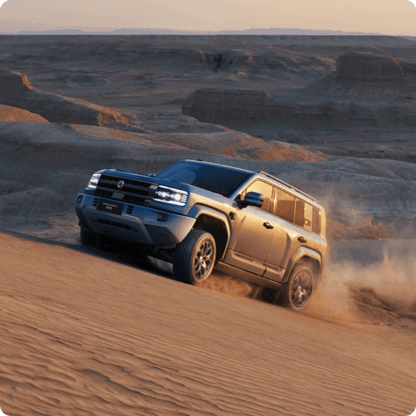 Denza Dual-Power Performance