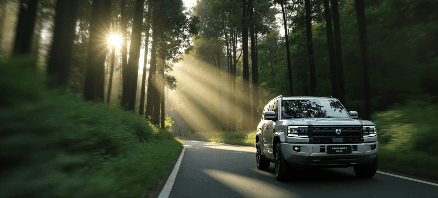 DENZA Special Offers