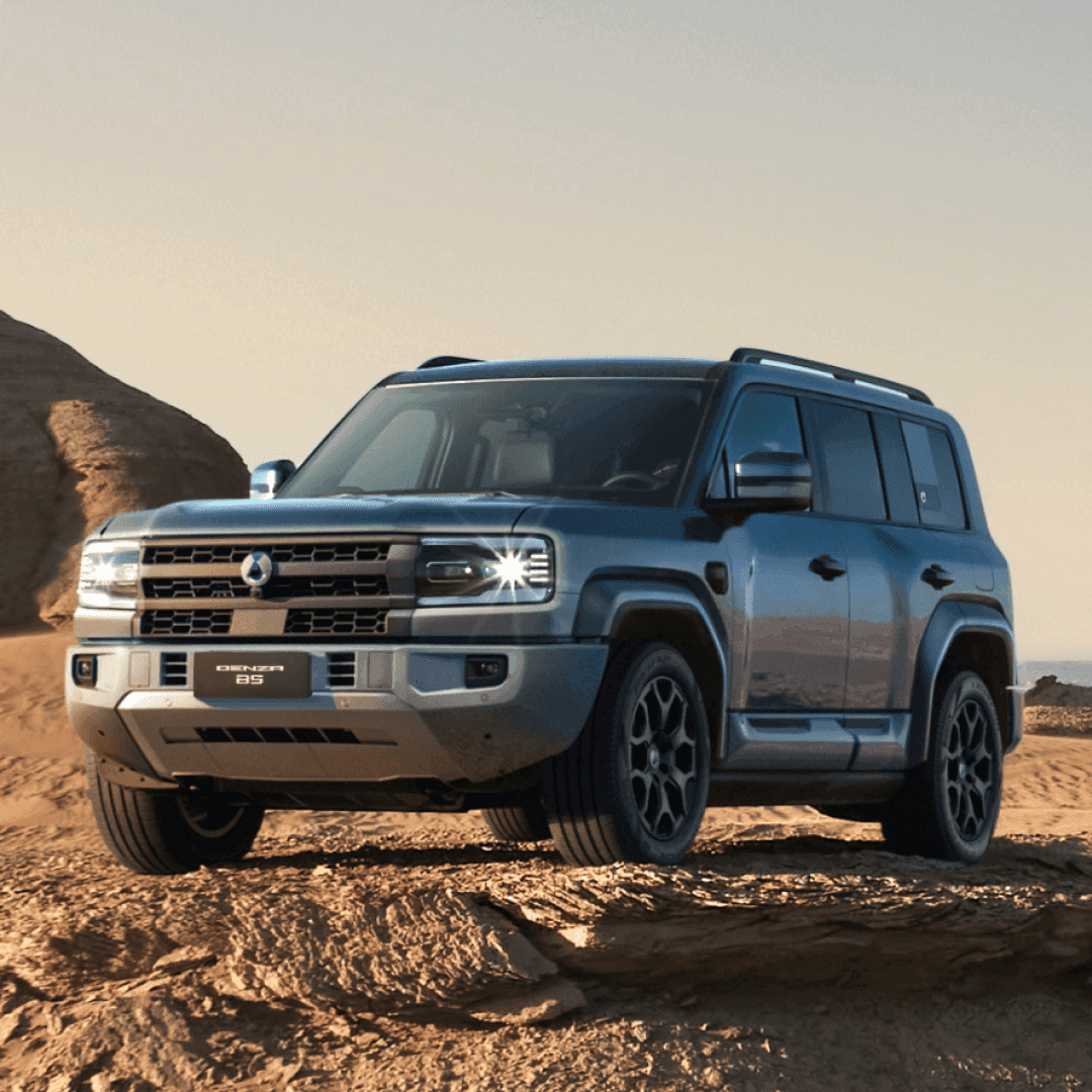 Denza Smart Power Solutions